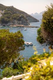 260804_Ponza_014