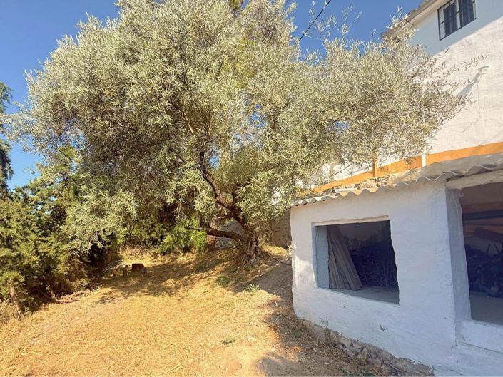 Image No.40-Cortijo de 3 chambres à vendre à Villanueva de Algaidas