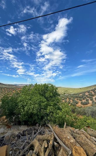 Image No.48-5 Bed Cortijo for sale