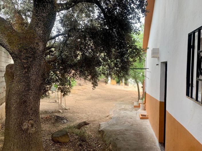 Image No.13-3 Bed Cortijo for sale