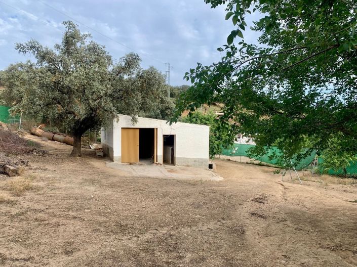 Image No.16-3 Bed Cortijo for sale