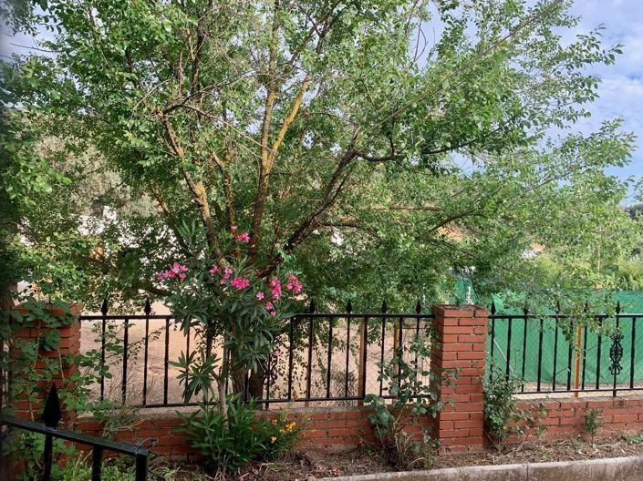 Image No.22-3 Bed Cortijo for sale