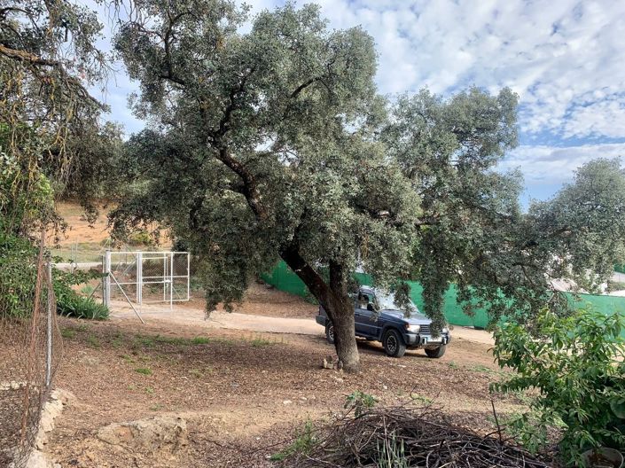 Image No.8-3 Bed Cortijo for sale