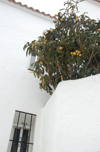 Image No.45-4 Bed Villa for sale