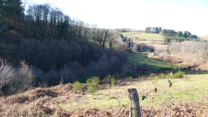 Image No.19-3 Bed Farmhouse for sale