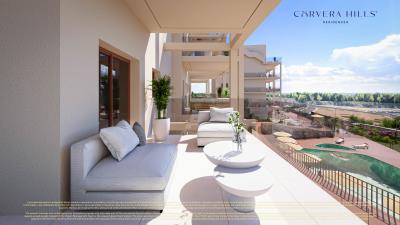 Aneas-apart---terraza-vista-piscina