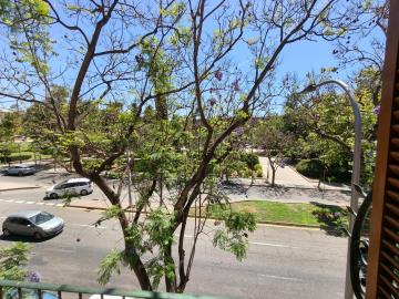 7-Park-view-squished