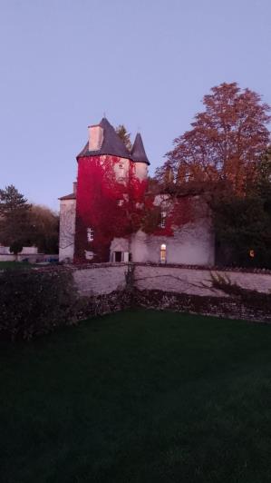 Image No.11-Châteaux de 7 chambres à vendre à Fontenille-Saint-Martin-d'Entraigues