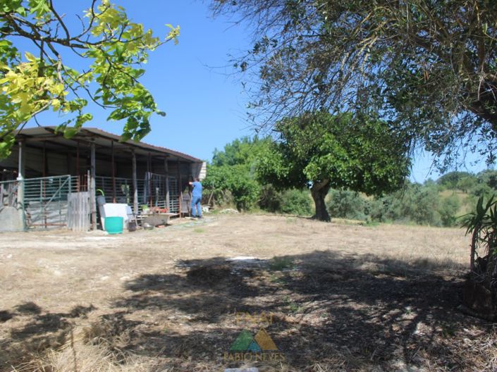 Image No.15-Ferme de 20 chambres à vendre à Torres Novas