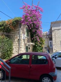 1 - Split, House
