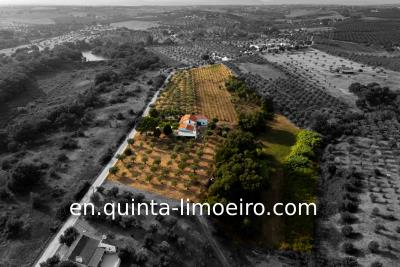 drone-shot1-en