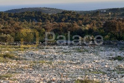 gradjevinsko-zemljiste-povrsine-1786-m2_5