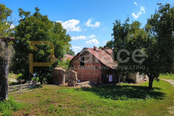 Image No.4-5 Bed House for sale
