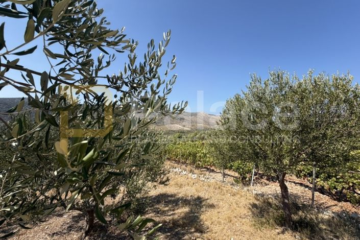 Image No.3-Land for sale