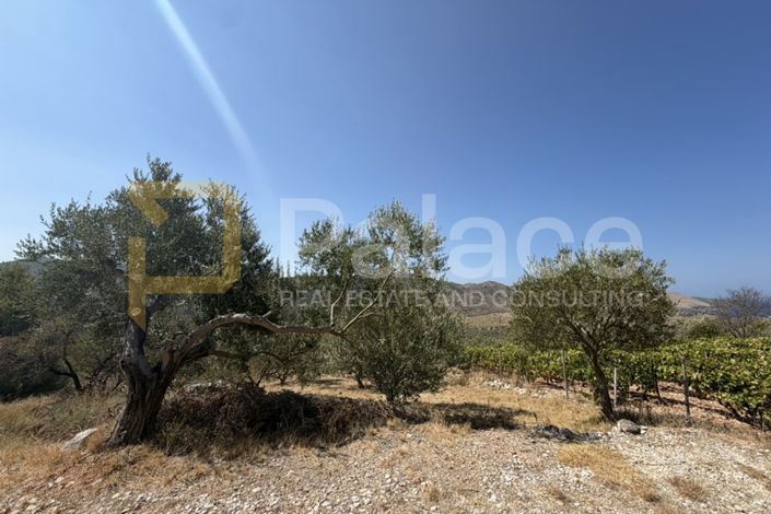 Image No.4-Land for sale