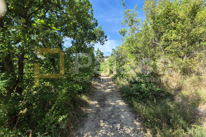 Image No.19-Land for sale