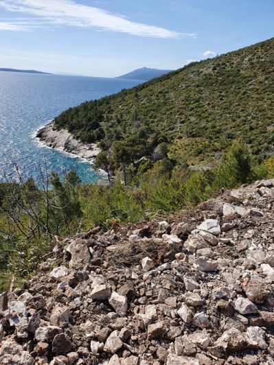 Image No.3-Terre à vendre à Zastražišce