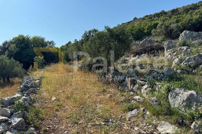 poljoprivredno-zemljiste-375-m-s-pogledom-na-more-u-moluntu_10