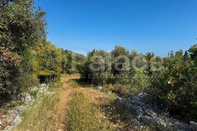 poljoprivredno-zemljiste-375-m-s-pogledom-na-more-u-moluntu_9