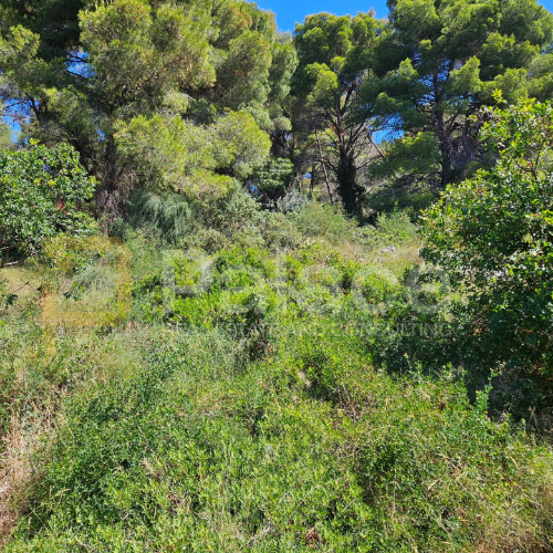 Image No.2-Plot for sale