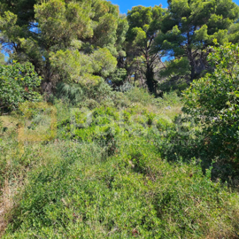 trogir-gradjevinsko-zemljiste-prilika_2