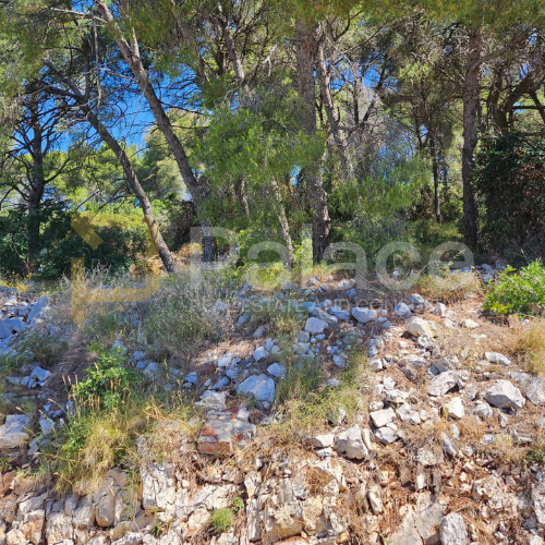 Image No.3-Plot for sale