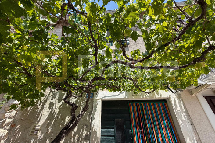 Image No.2-Maison de 1 chambre à vendre à Šibenik-Knin