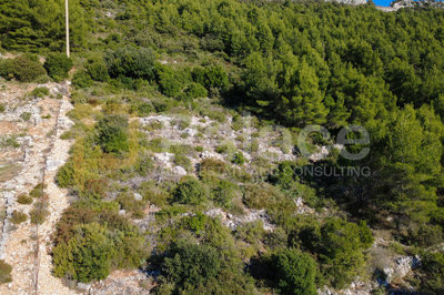trstenik-peljesac-jedinstveno-poljoprivredno-zemljiste-prvi_11