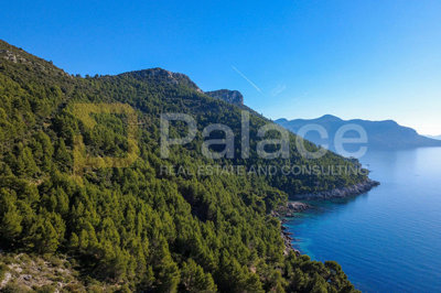 trstenik-peljesac-jedinstveno-poljoprivredno-zemljiste-prvi_2