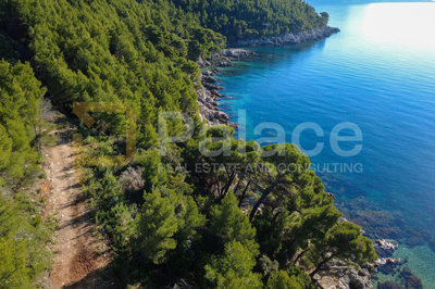 trstenik-peljesac-jedinstveno-poljoprivredno-zemljiste-prvi_4