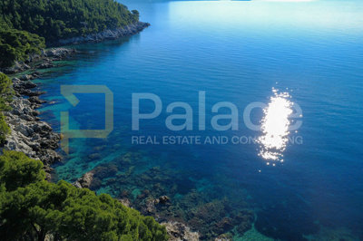 trstenik-peljesac-jedinstveno-poljoprivredno-zemljiste-prvi_6