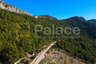 trstenik-peljesac-jedinstveno-poljoprivredno-zemljiste-prvi_8