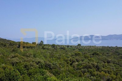 peljesac-poljoprivredno-zemljiste-moguca-kupnja-po-parcelama_1