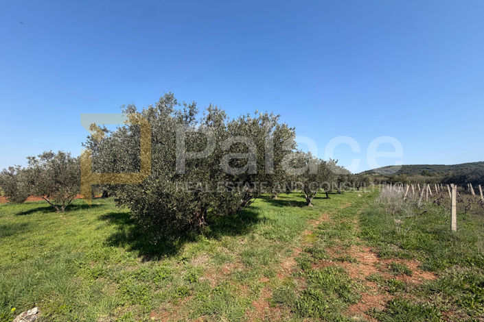 Image No.2-Land for sale