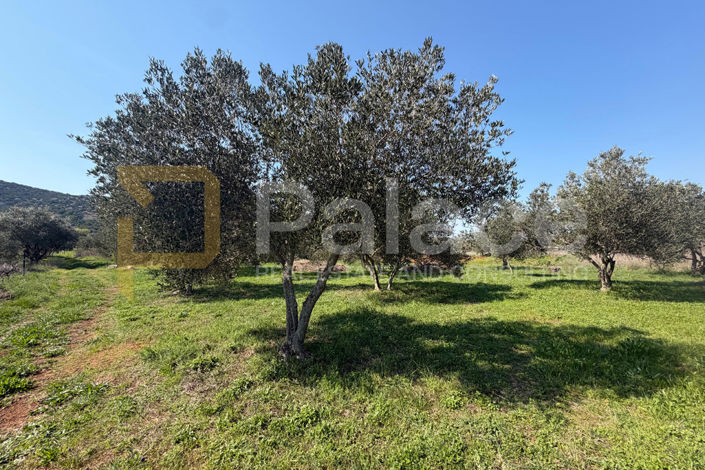 Image No.3-Land for sale