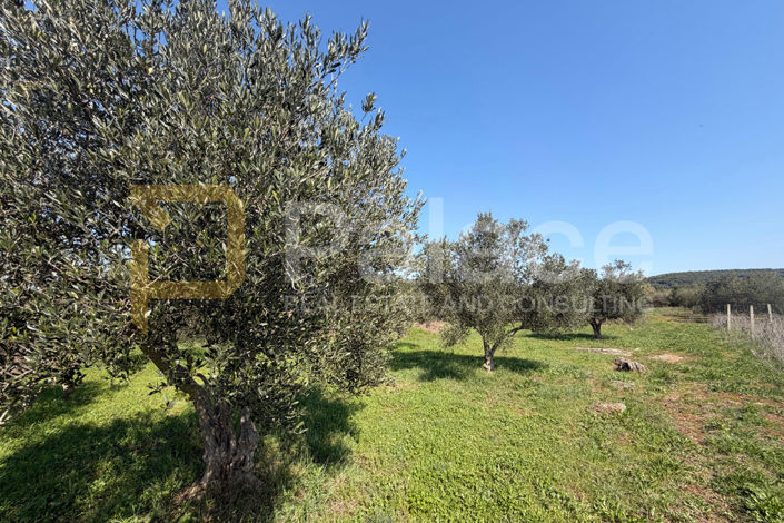 Image No.4-Land for sale