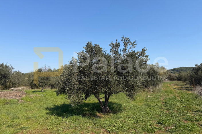 Image No.5-Land for sale