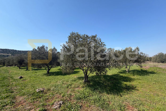Image No.6-Land for sale