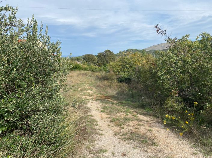 Image No.2-Land for sale