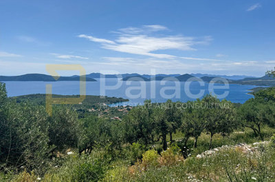 zemljiste-s-maslinama-i-pogledom-na-more-trnova-dubrovacko_2