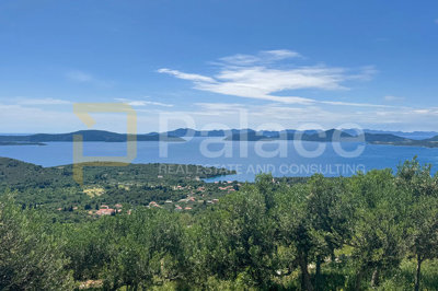 zemljiste-s-maslinama-i-pogledom-na-more-trnova-dubrovacko_3