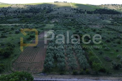 donje-polje-sibenik-poljoprivredno-zemljiste-s-40-maslina_2