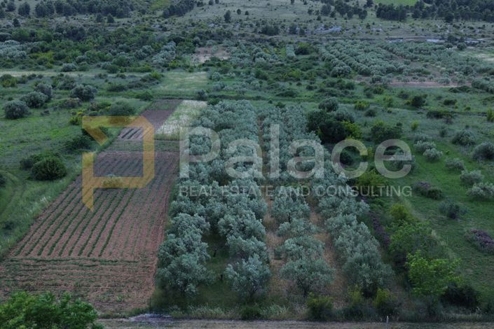 Image No.4-Land for sale