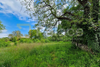 veliko-zemljiste-s-pristupom-na-otoku-krku-rasopasno-3228-m_1