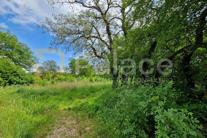 Image No.2-Land for sale