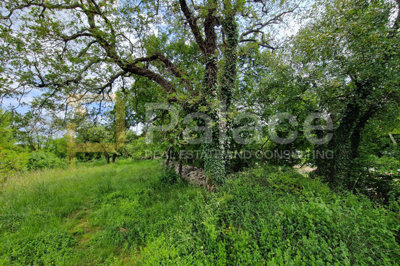 veliko-zemljiste-s-pristupom-na-otoku-krku-rasopasno-3228-m_4