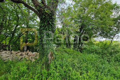 veliko-zemljiste-s-pristupom-na-otoku-krku-rasopasno-3228-m_5