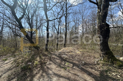 14000-m2-u-srcu-istre-gracisce-investicijska-prilika_2