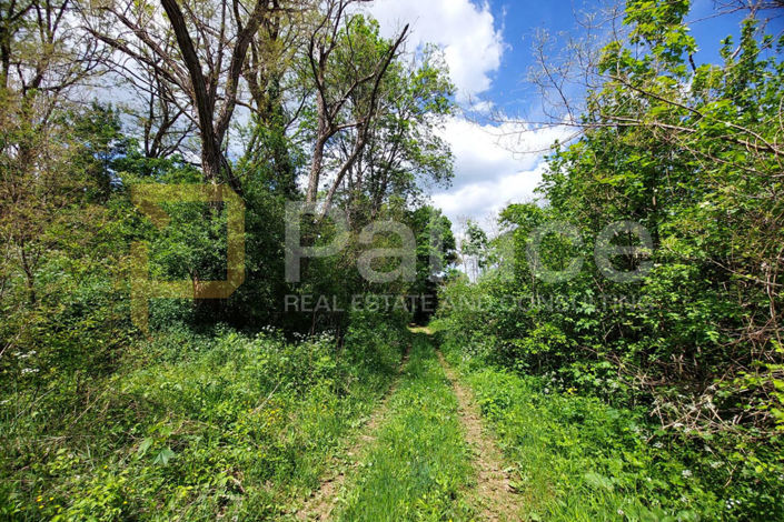 Image No.2-Plot for sale