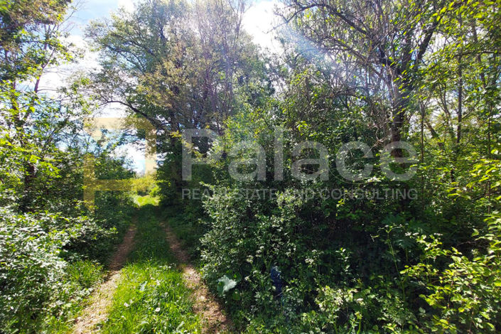 Image No.3-Plot for sale